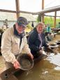 Panning for GOLD